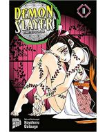 Demon Slayer - Kimetsu no Yaiba #11