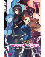 Accel World Novel #19