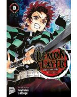 Demon Slayer - Kimetsu no Yaiba #10