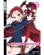 Accel World Novel #13