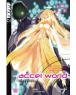 Accel World Novel #15