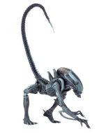 Alien vs Predator Alien Arcade Appearance Arachnoid Alien NECA