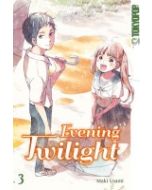 Evening Twilight #03