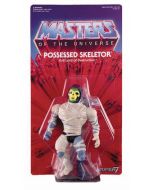 MASTERS OF THE UNIVERSE: Evil Warriors: Possessed Skeletor