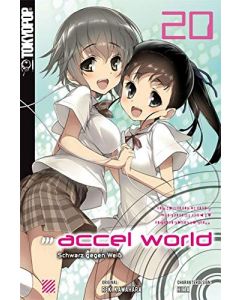 Accel World Novel #20