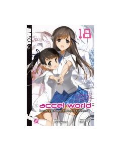 Accel World Novel #18