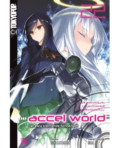 Accel World Novel #22