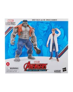 Marvel Legends Avengers Beyond Earth's Mightiest Gray Hulk & Dr. Bruce Banner 15cm